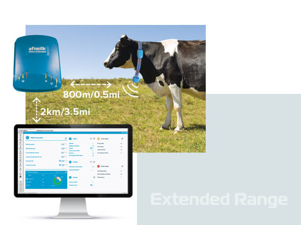 cow monitoring extended range