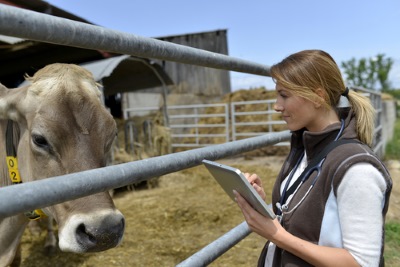 Early Detection Of Clinical And Sub-Clinical Mastitis